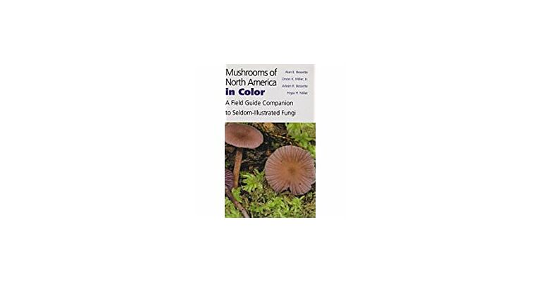 Mushrooms of North America in Color: A Field Guide Companion to Seldom-Illustrated Fungi