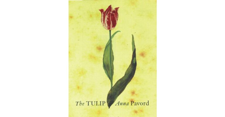 The Tulip (hardcover, gebonden editie)