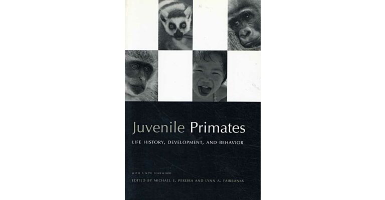 Juvenile Primates