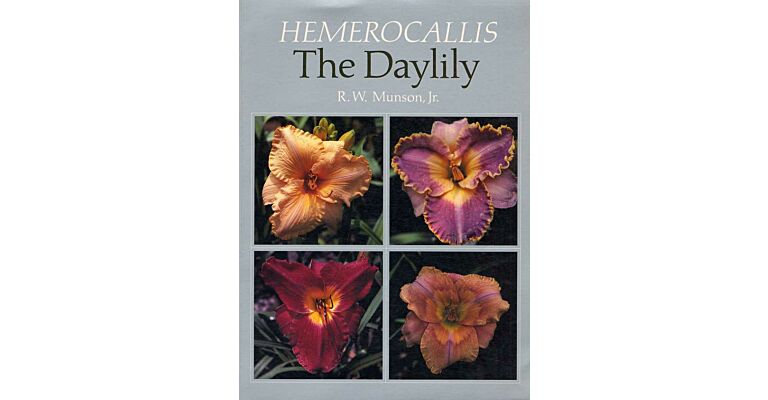 Hemerocallis : The Daylily
