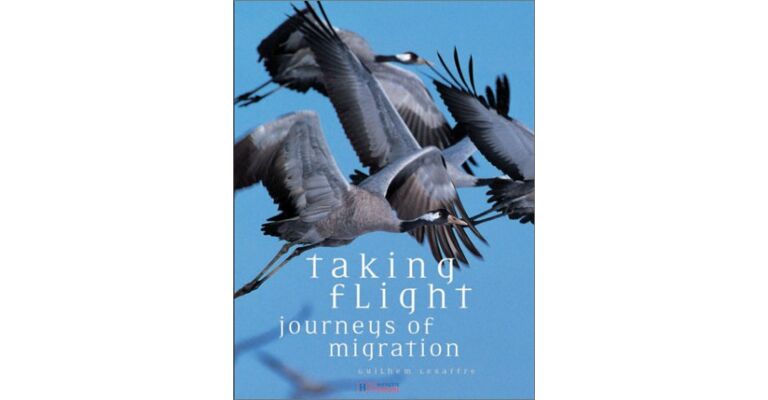 Taking Flight