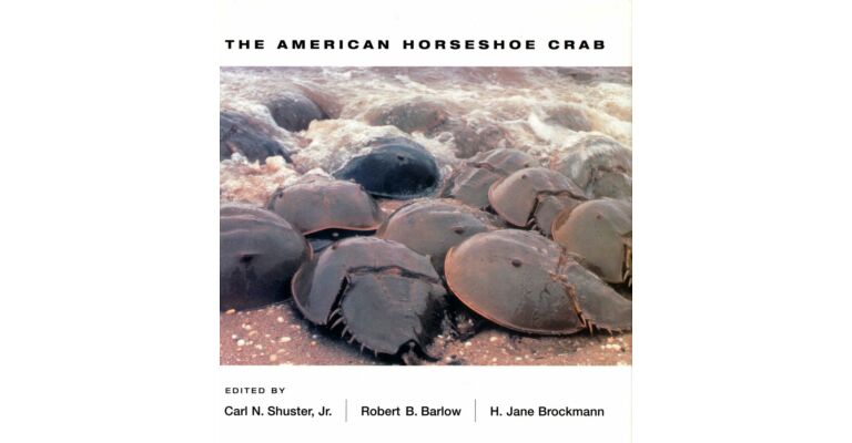 The American Horseshoe Crab