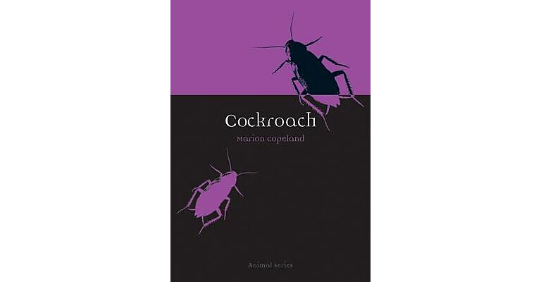 Cockroach