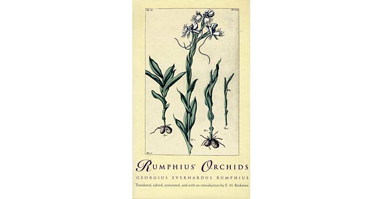 Rumphius' Orchids