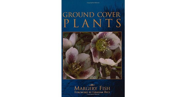 Ground Cover Plants