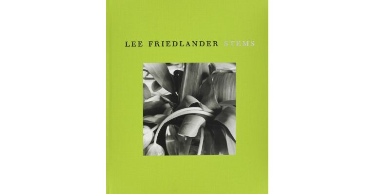 Lee Friedlander : Stems