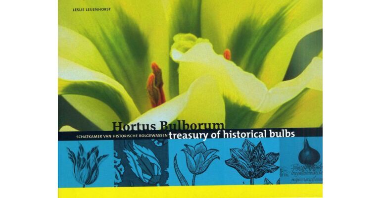 Hortus Bulborum : Treasury of Historical Bulbs