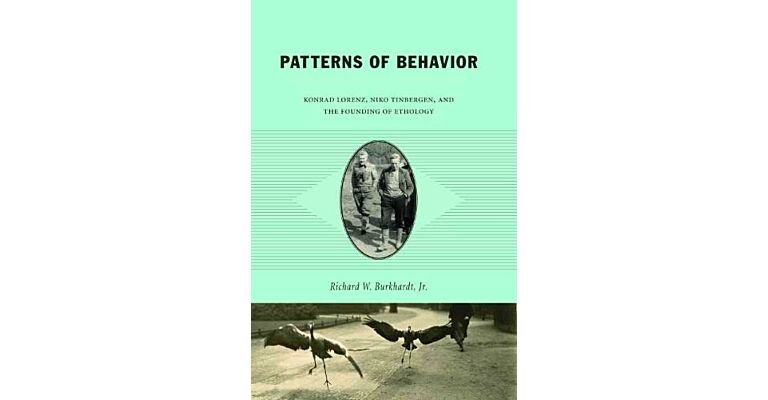 Patterns of Behaviors