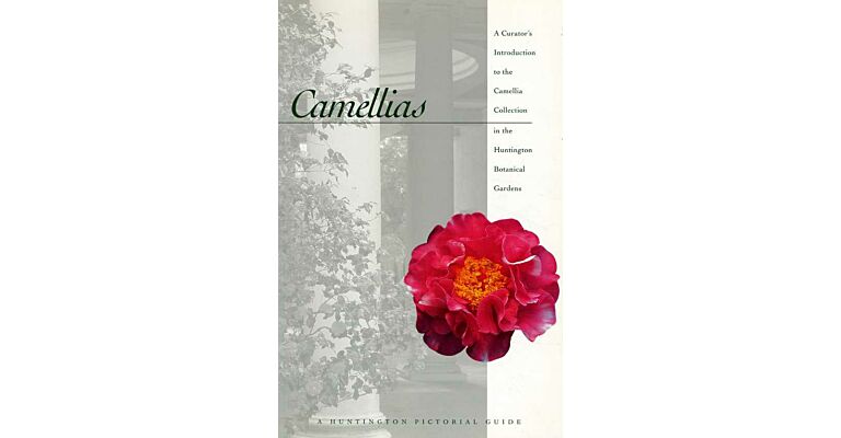 Camellias