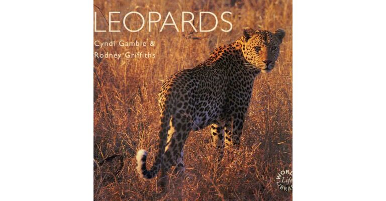 Leopards