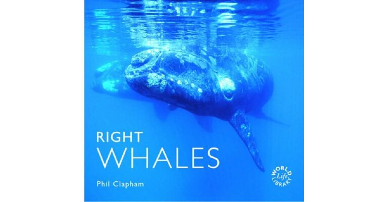Right Whales
