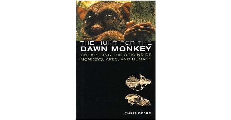 The Hunt for the Dawn Monkey - Unearthing the Origins of Monkeys, Apes, and Humans