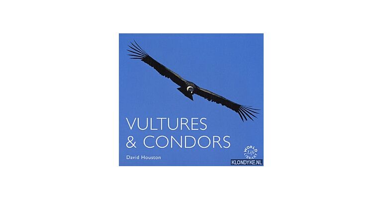 Vultures & Condors