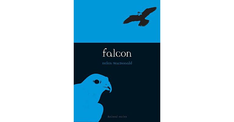 Falcon