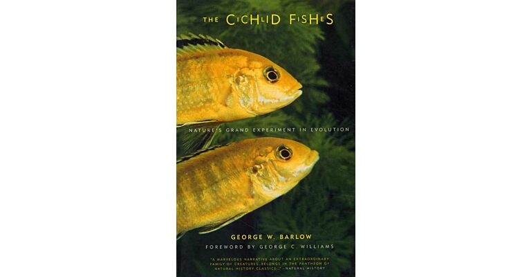 Cichlid Fishes