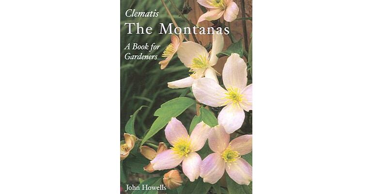 Clematis - The Montanas