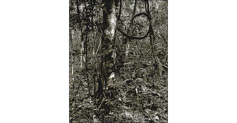 Balthasar Burkhard - Photographer