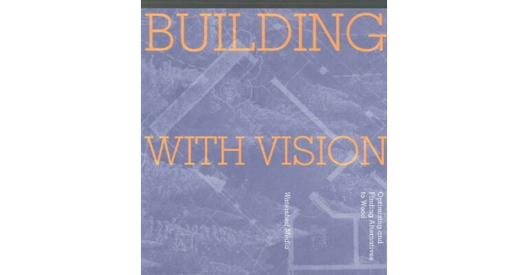 Building with Vision