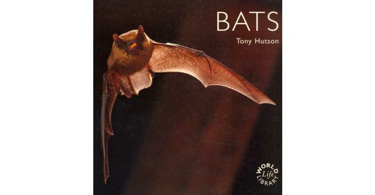 Bats