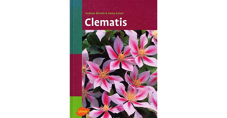 Clematis