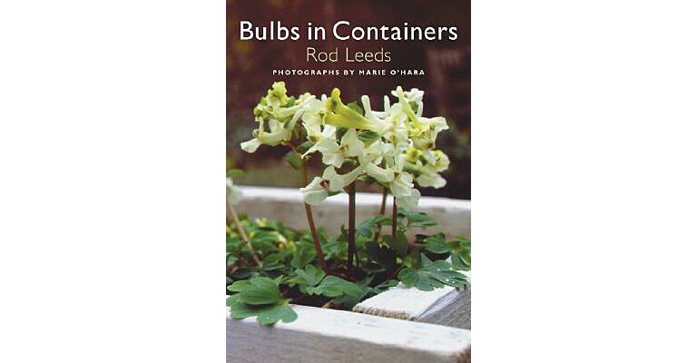 Bulbs in Containers