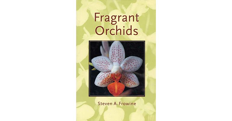 Fragrant Orchids