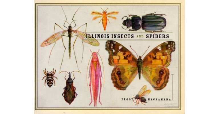 Illinois Insects and Spiders