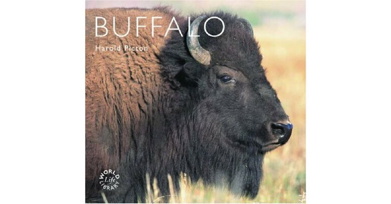 Buffalo