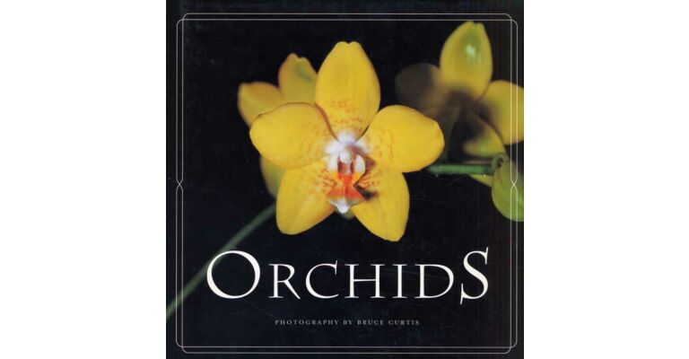 Orchids