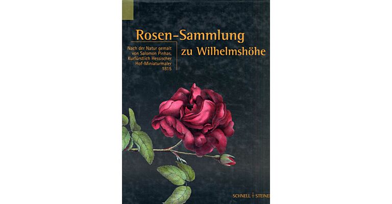 Rosen-Sammlung zu Wilhelmshöhe