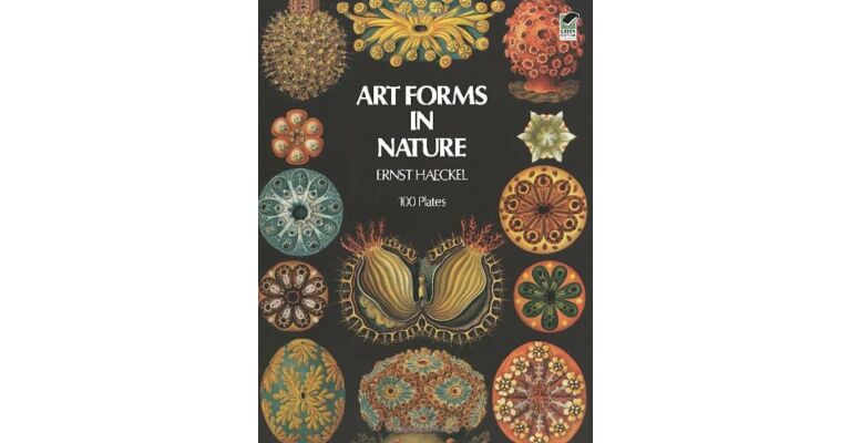 Art Forms in Nature