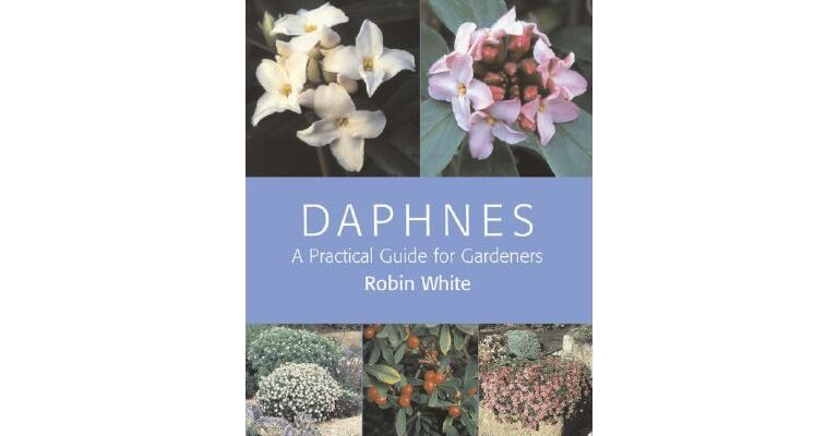 Daphnes : A Practical Guide for Gardeners