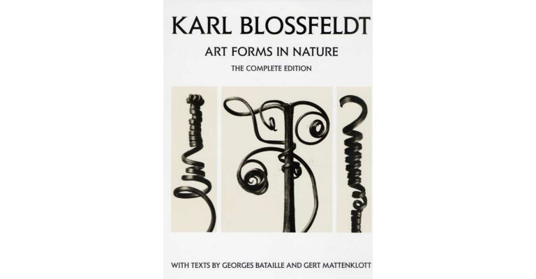 Karl Blossfeldt - Art Forms in Nature