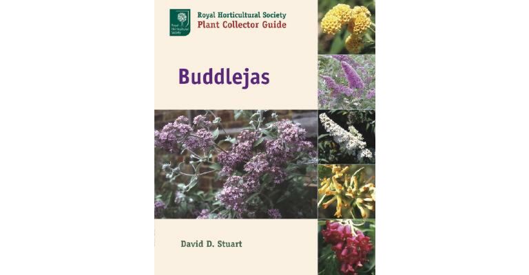 Buddlejas : RHS Plant Collector Guide