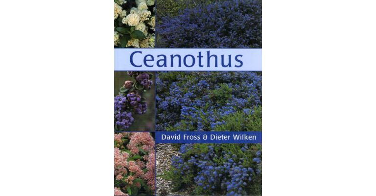 Ceanothus