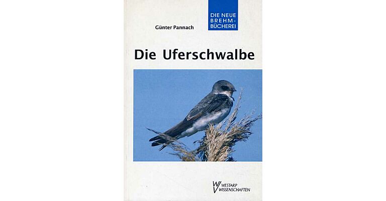 Die Uferschwalbe