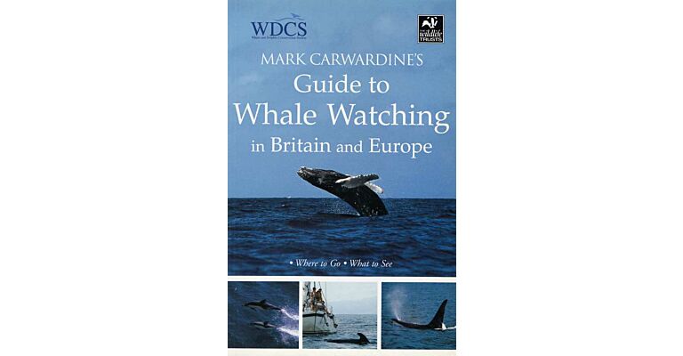 Guide to Whale Watching in Britain and Europe