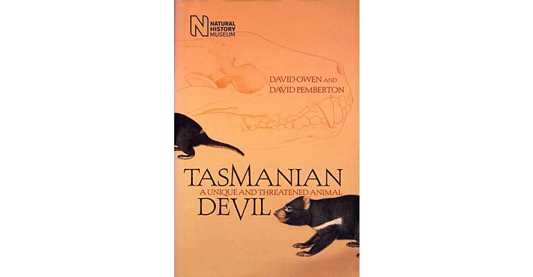 Tasmanian Devil -  A Unique and Threatened Animal