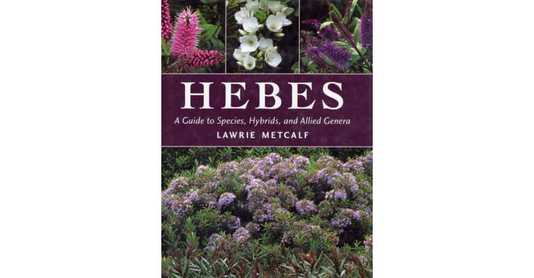 Hebes