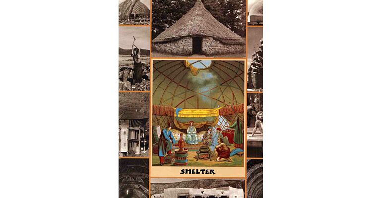 Shelter (40th anniversary edition)