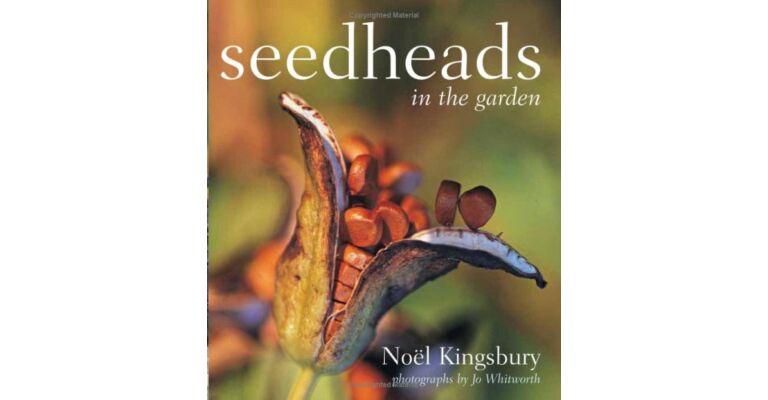 Seedheads in the Garden