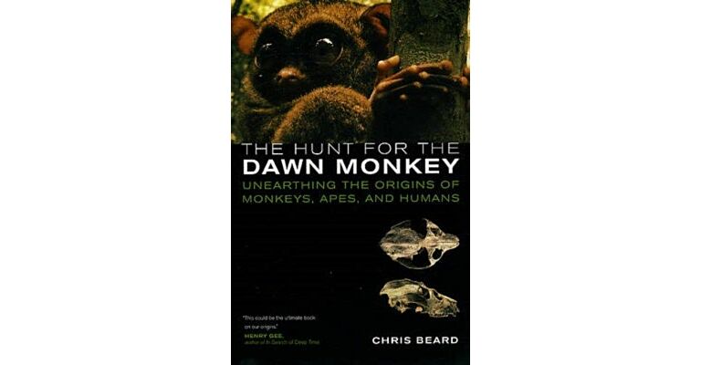 The Hunt for the Dawn Monkey