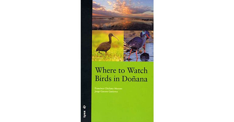 Where to Watch Birds in Doñana