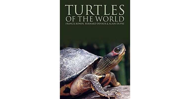 Turtles of the World