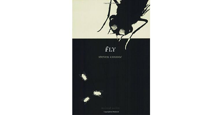 Fly
