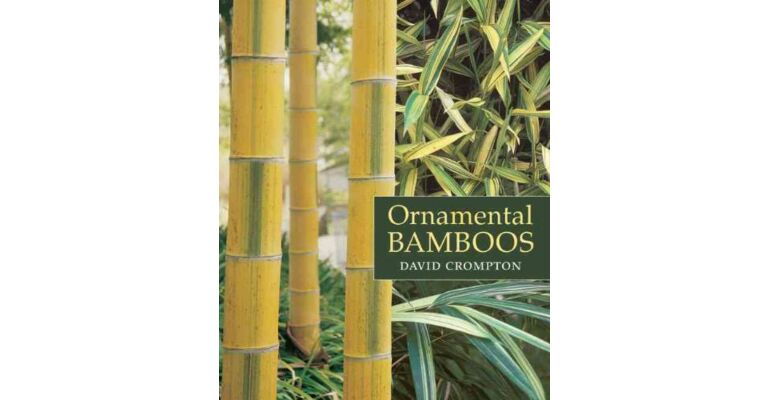 Ornamental Bamboos