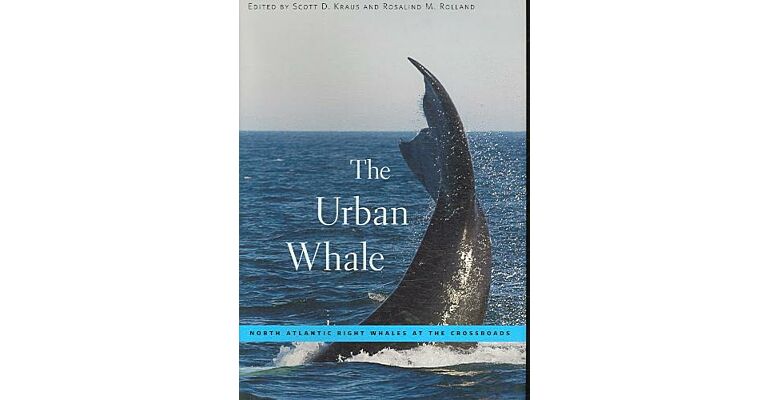 The Urban Whale