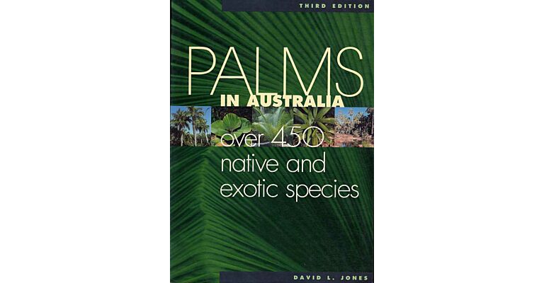 Palms in Australia