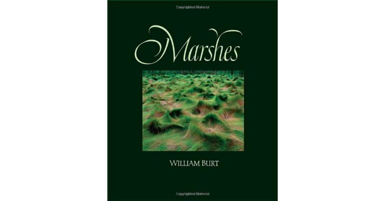 Marshes. The Disappearing Edens