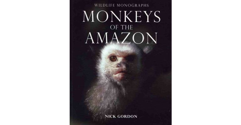 Monkeys of the Amazon